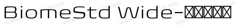 BiomeStd Wide字体转换